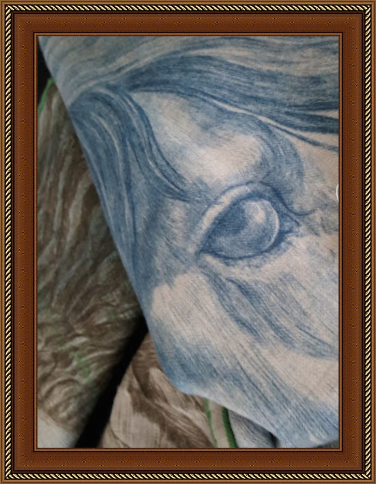 Les Ailes de&nbsp;Pégase